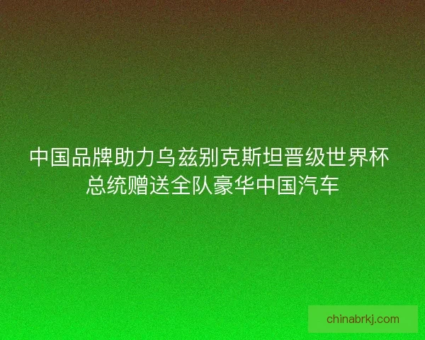 中国品牌助力乌兹别克斯坦晋级世界杯 总统赠送全队豪华中国汽车
