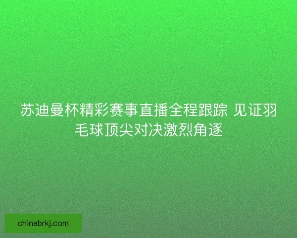 苏迪曼杯精彩赛事直播全程跟踪 见证羽毛球顶尖对决激烈角逐