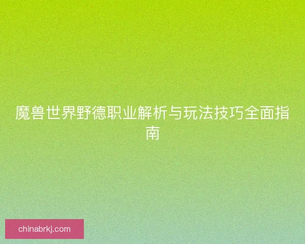 魔兽世界野德职业解析与玩法技巧全面指南