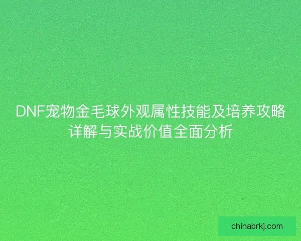 DNF宠物金毛球外观属性技能及培养攻略详解与实战价值全面分析