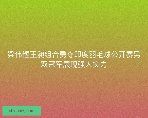 梁伟铿王昶组合勇夺印度羽毛球公开赛男双冠军展现强大实力