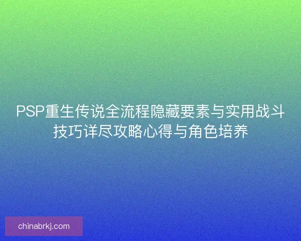 PSP重生传说全流程隐藏要素与实用战斗技巧详尽攻略心得与角色培养