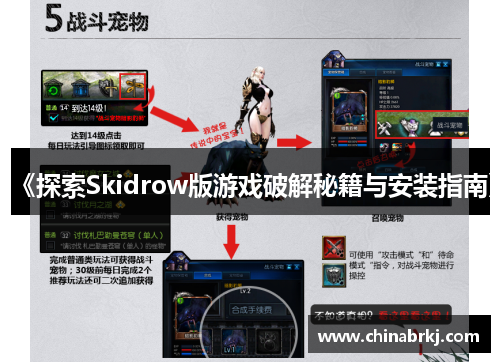 《探索Skidrow版游戏破解秘籍与安装指南》